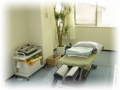 ���s�s������̎l���{�ɂ�����{�J�C���v���N�e�B�b�N�Z���^�[�l���{�̑��{�p��